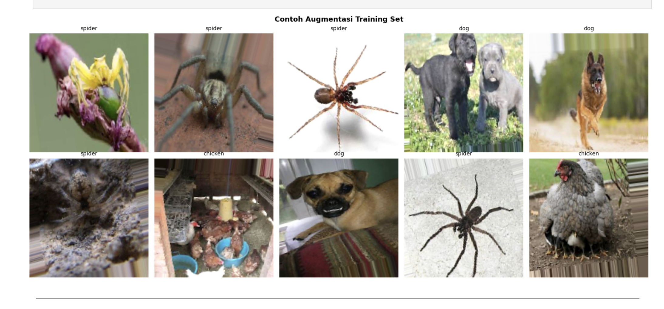 Animal Image Classification